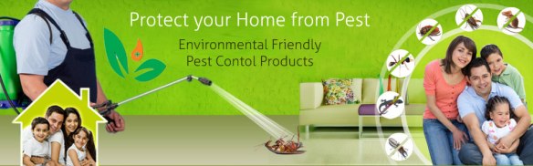 pest control for home